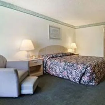 Super 8 By Wyndham Clearwater/Us Hwy 19 N Motel United States