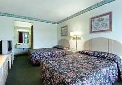 Super 8 By Wyndham Clearwater/Us Hwy 19 N Motel
